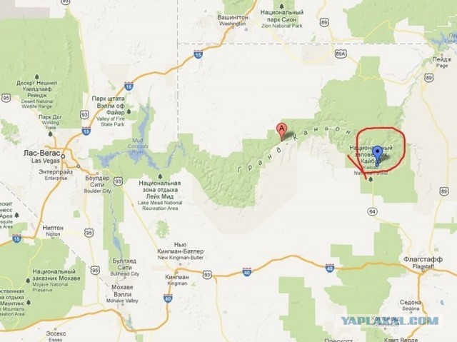 Ford Mustang напрокат