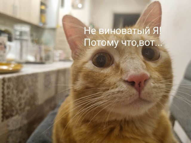 Прошу помощи в знакомстве с женщиной в интернете