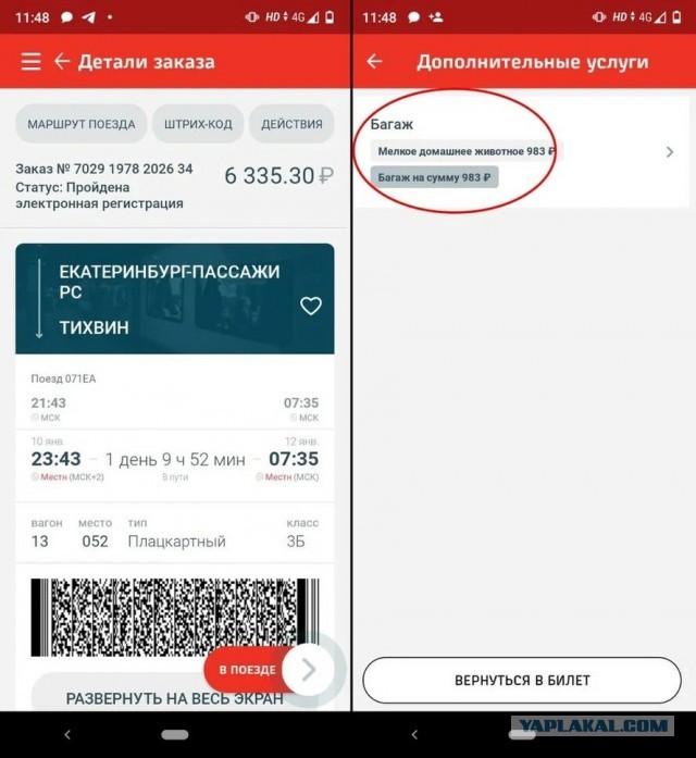 Петицию с требованием уволить проводницу РЖД, выбросившую кота Твикса в Кирове, подписали более 50 тысяч человек
