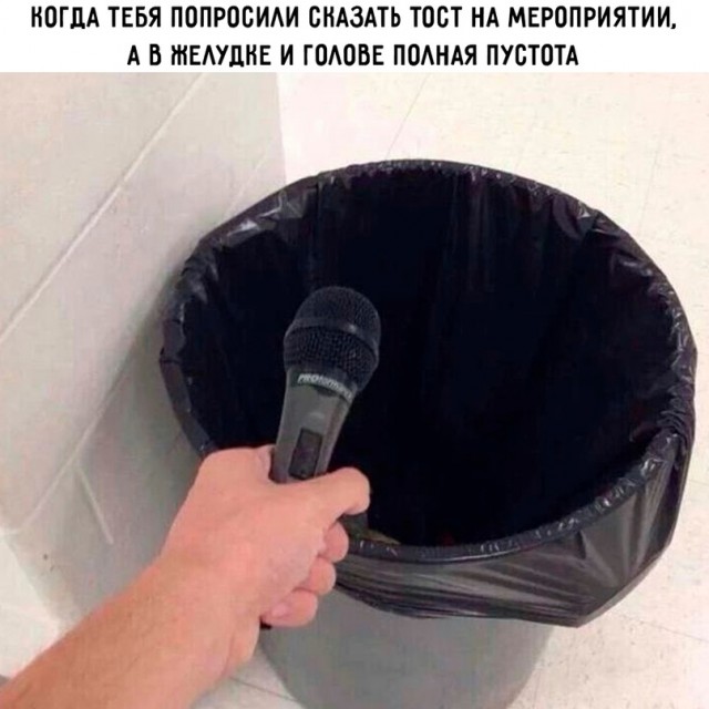 Весёлый полтишок 04.03.24