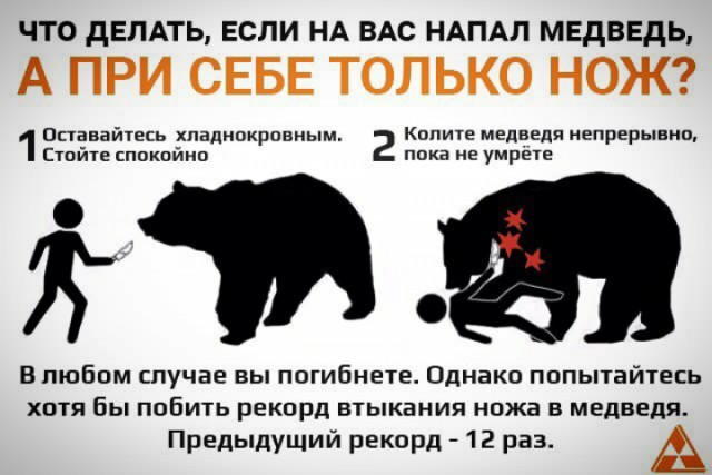 "Миша, слазь, я уезжаю!"