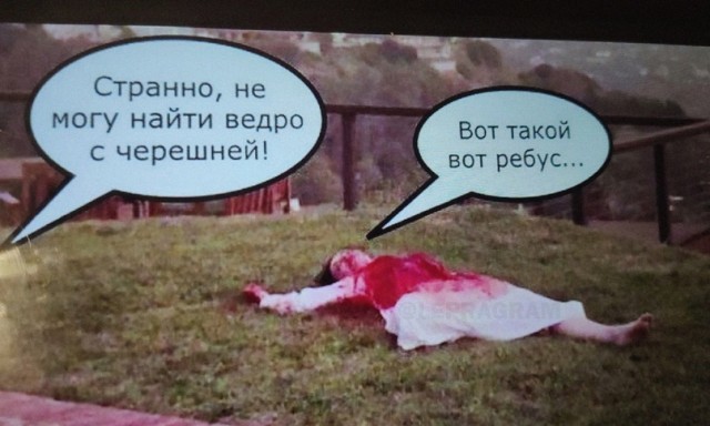 Весёлый полтишок 10.06.24