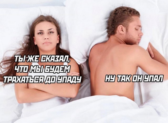 Немного забавных картинок от 22.08.2024