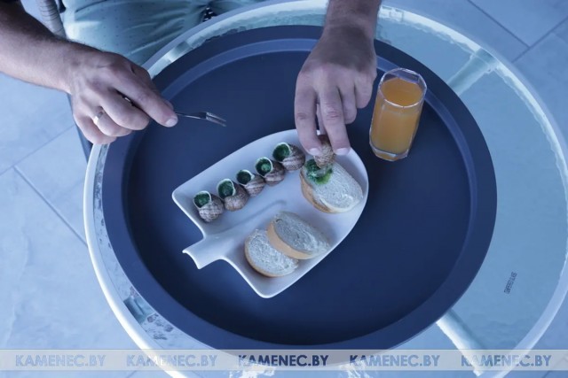 Супруги создали ферму с улитками, мясо которых потребляют в дорогих ресторанах
