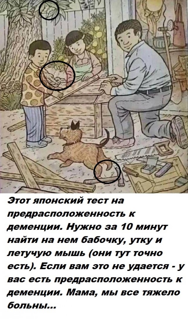 Весёлый полтишок 19.09.24