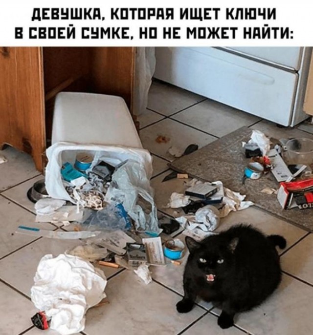 Веселые картинки к пятнице (20.09)