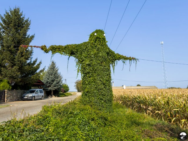 Фотосмесь 26.09.24