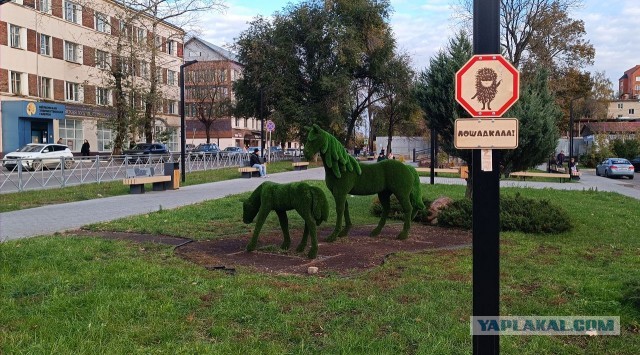Знаки добра 5