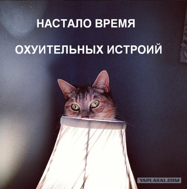 Интересный тайник в подвале