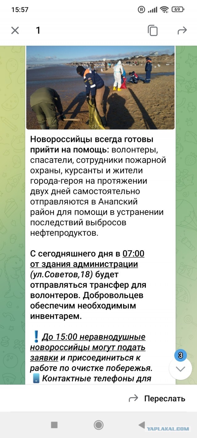 Отдых в Анапе, похоже, ВСЁ: экологи бьют тревогу из-за разлива мазута