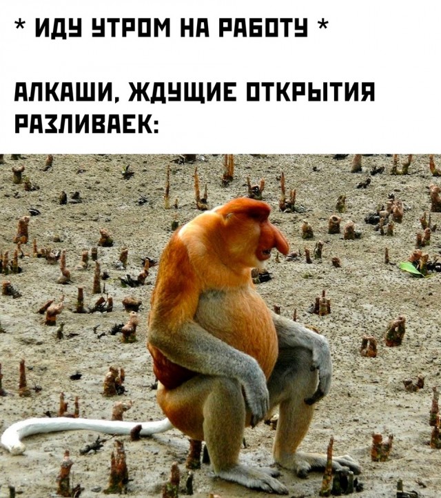 Так себе картинки 29.12.24