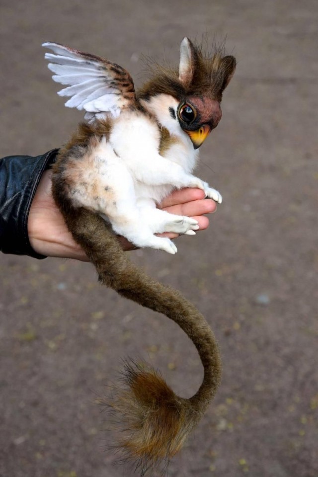 Лысый красавчик