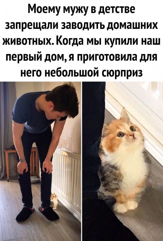 Так себе картинки 30.03.25