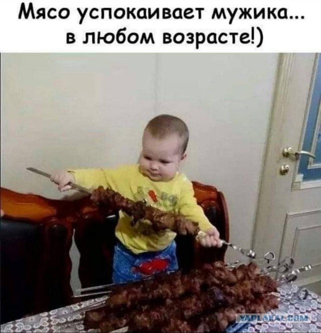 «Кормлю ребёнка моей сестры-веганки рёбрышками барбекю»