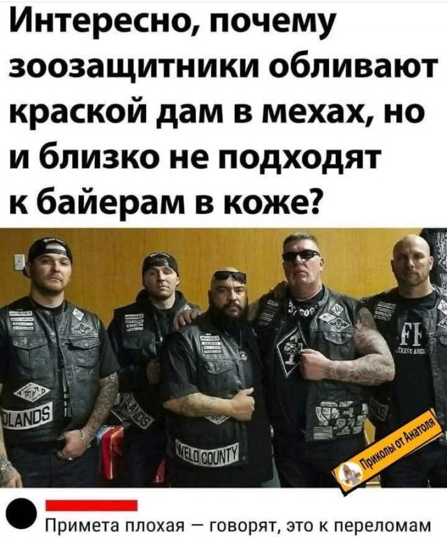 Завалялось тут случайно немного забавных картинок