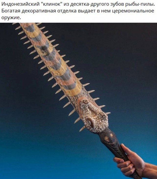 Белый слон и другие картинки