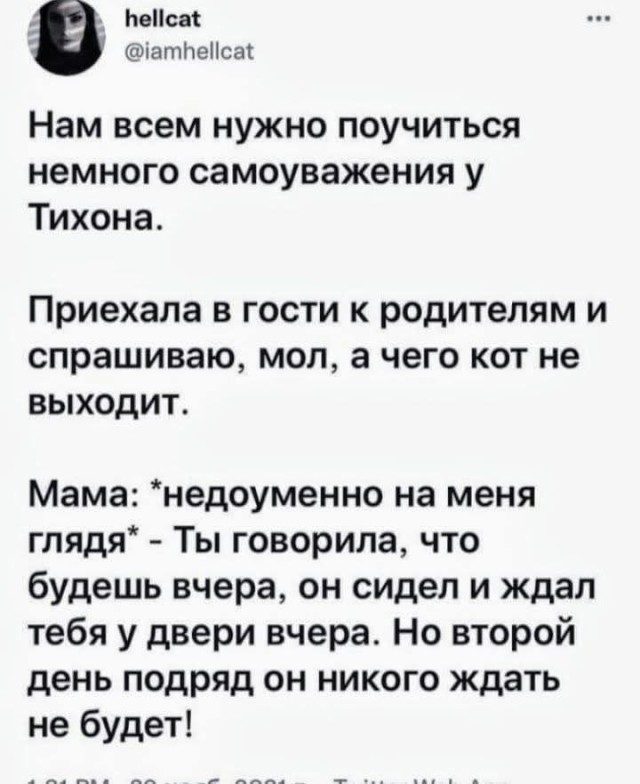 Юмор для тех, кто уже повзрослел и понял, что «отпуск» — это когда работаешь, но в другой стране
