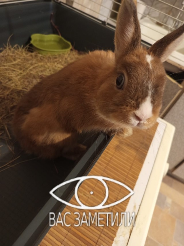 От него нельзя спрятаться