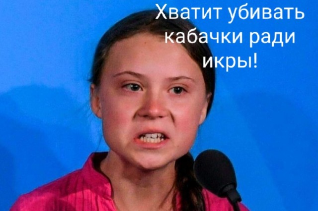 Где вы берёте икряные кабачки?