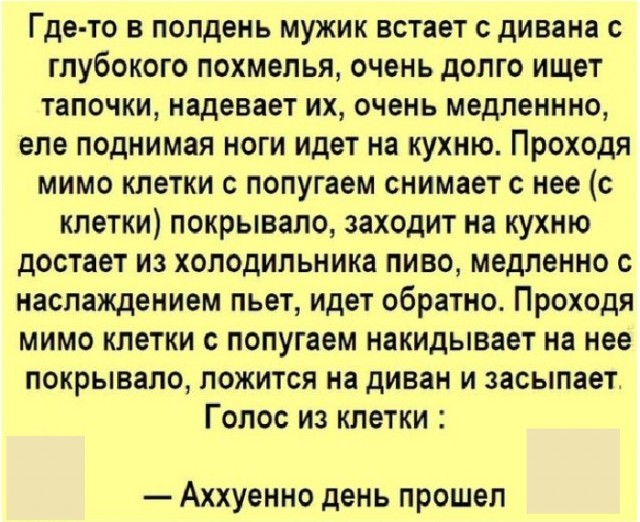 Веселое настроение в картинках (14.08.2025)