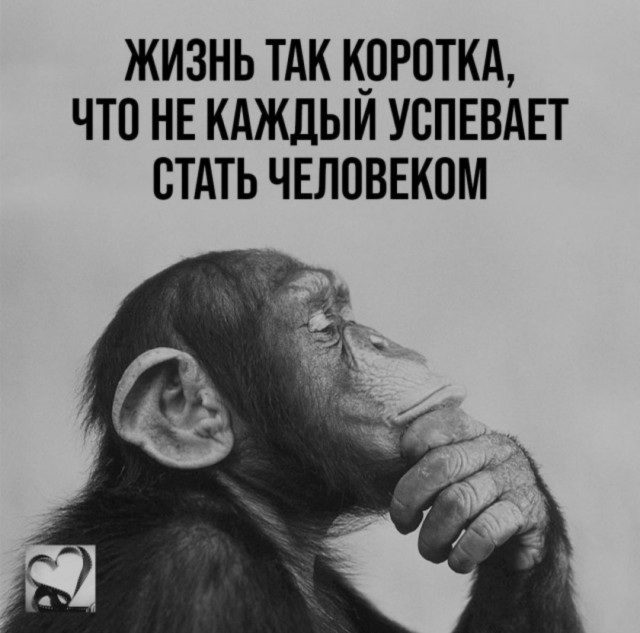Картинки для деградации 24 (разной степени свежести)