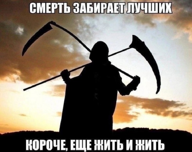 Так себе картинки 24.08.25