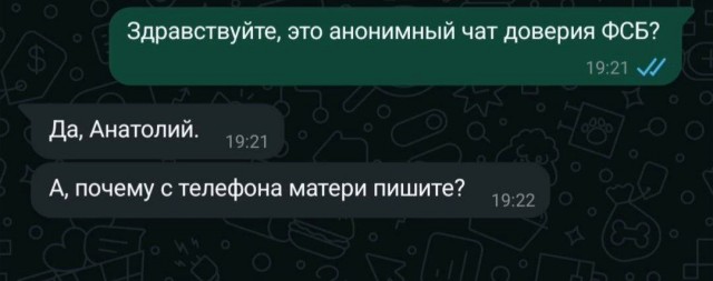 20374028.jpg