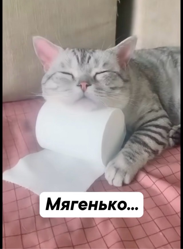 Немного картинок