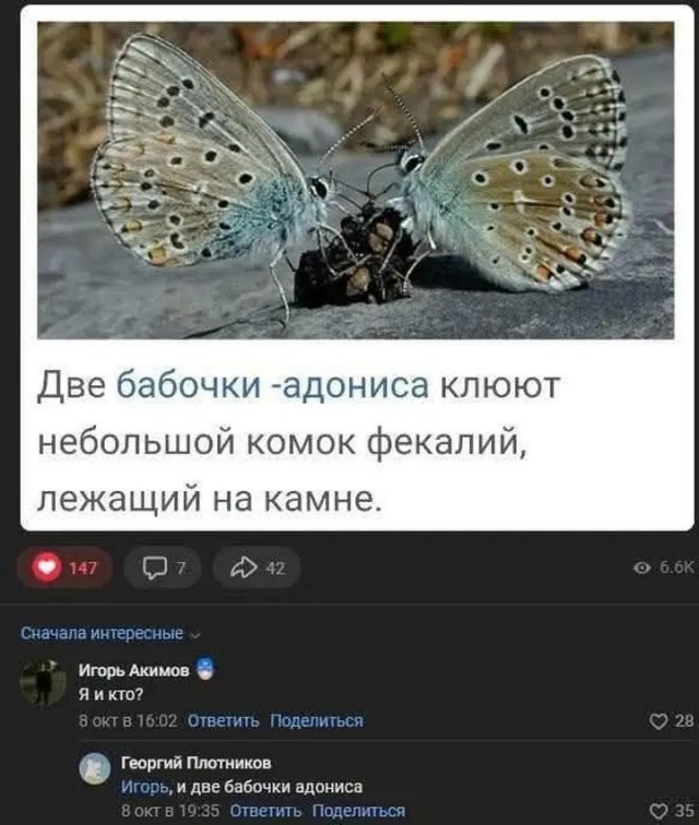 Небаянистая деградация 4