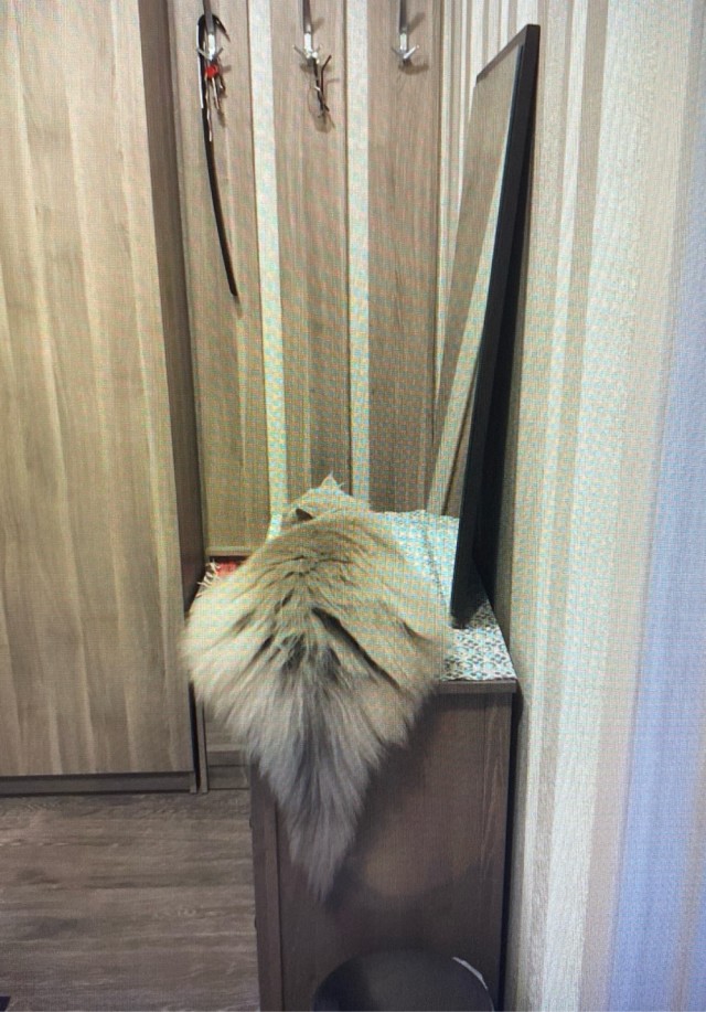 Нелегальный завод