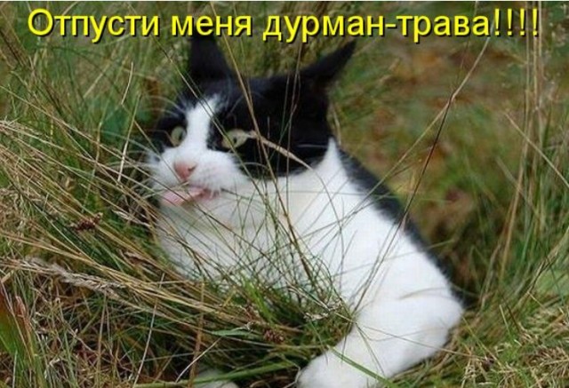 Луна - запретная территория