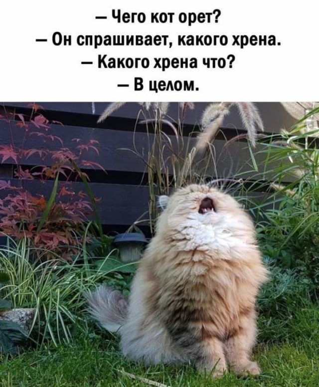 Воскресные картинки