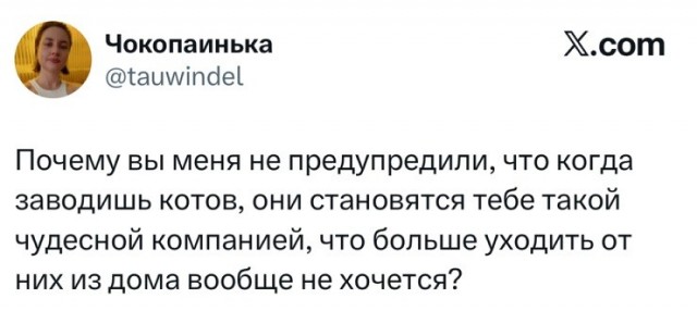 Так себе картинки 17.06.26