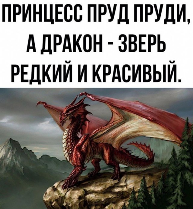 Картинки для деградации 292 (разной степени свежести)