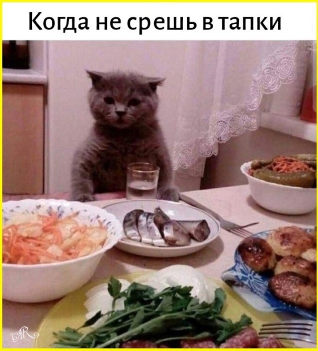 тРРРидцать тРРРи от 22 октября