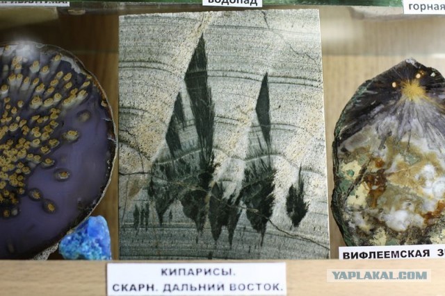 Музей шедевров природы