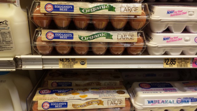 Сколько в США стоят продукты, одежда и др товары