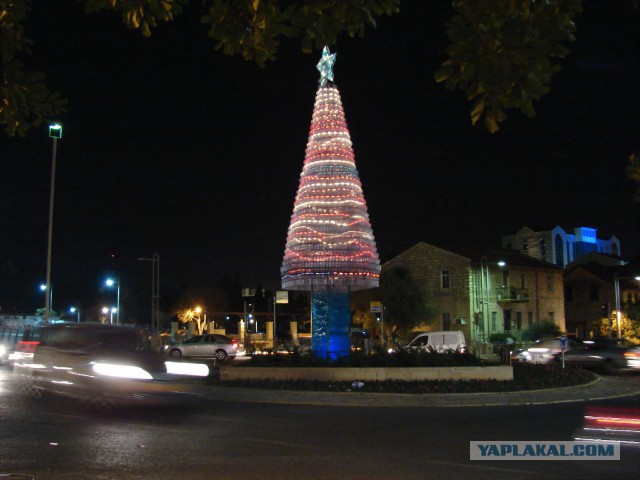 Йолка-2014
