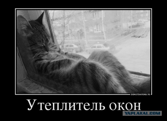 Прикольные вещи, сделанные с фантазией