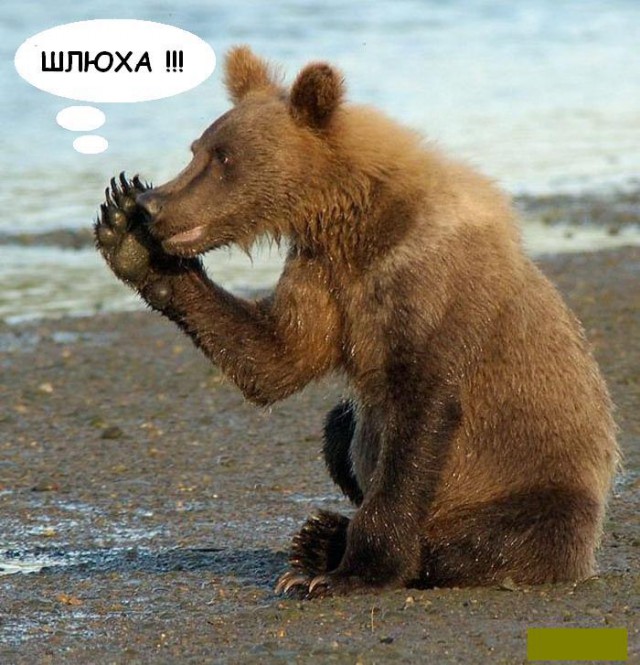 На секс обычно уходит 5-7 минут
