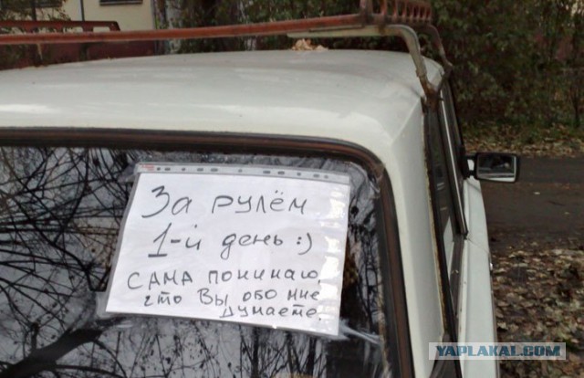 Автоприколы с бонусом