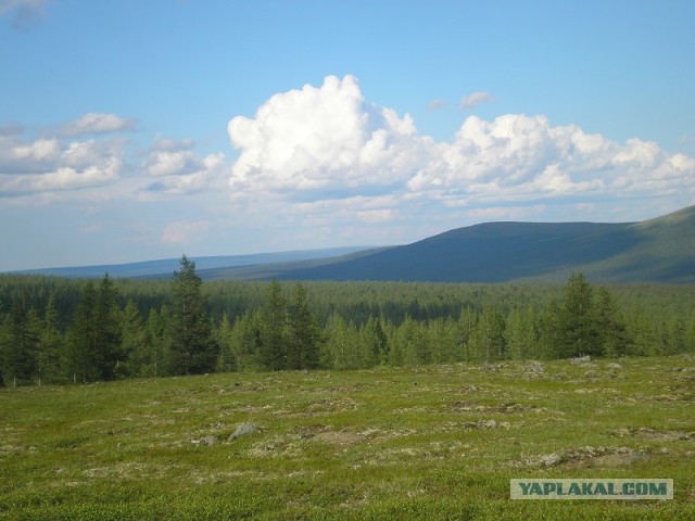 Заполярье