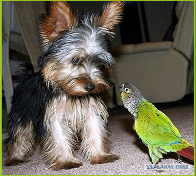 Одну секундочку