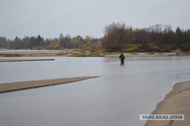 В дальнее замкадье и безасфальтье