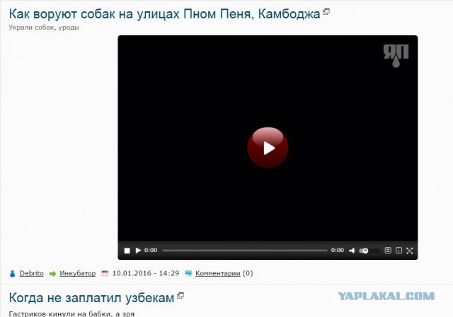 Как воруют собак на улицах Пном Пеня