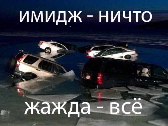Веселые картинки