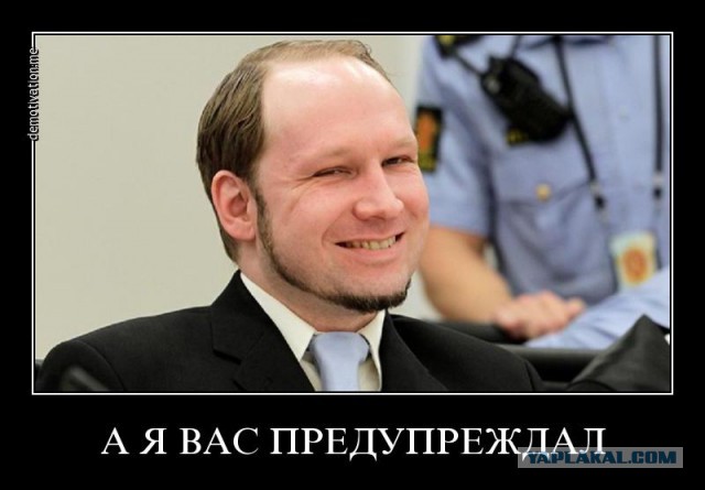 Налетели как шакалы