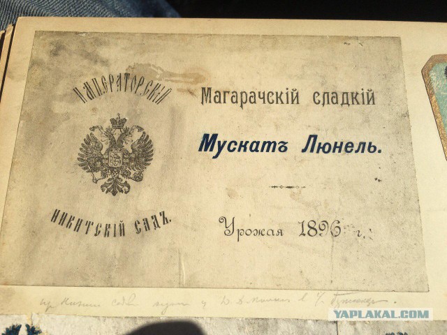 Альбом из бабушкиного сундука или как наши предки пили и курили