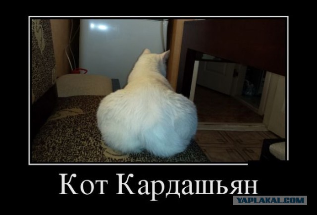 Картинки в черных рамках с подписями