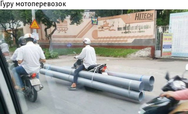 Подборка безудержного веселья